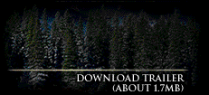 The Edge Link